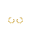 Golden Ray Earrings (Pair)