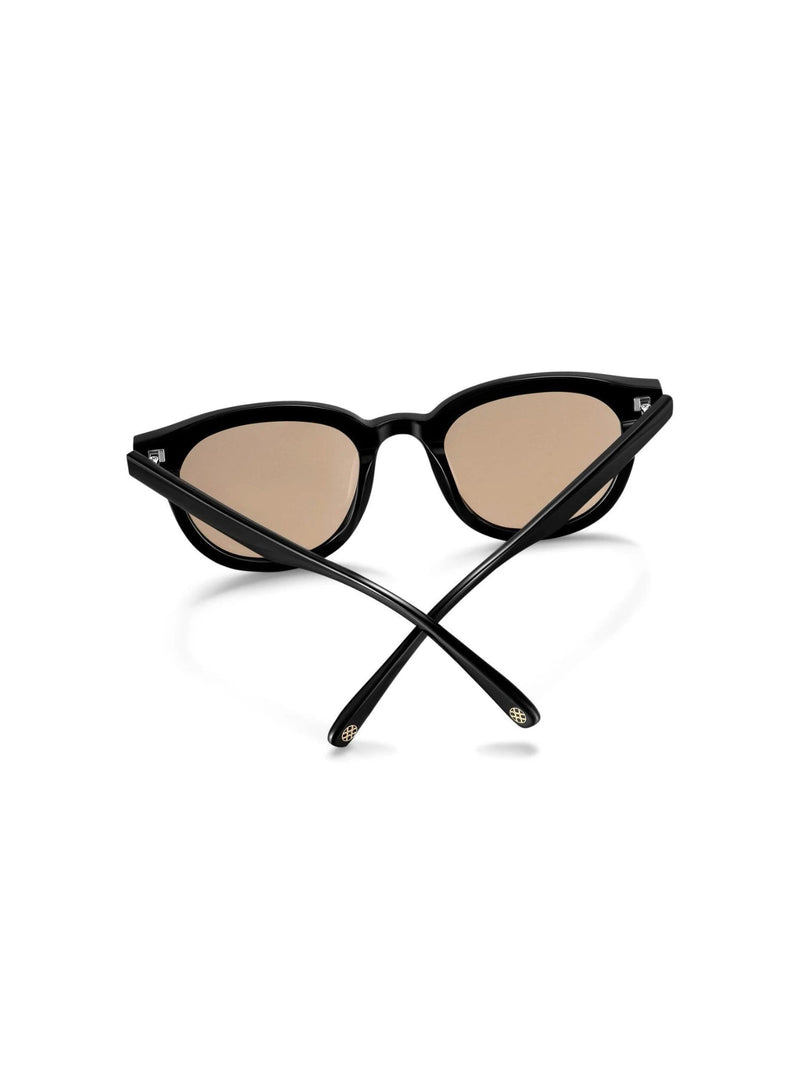 Wayfarer Classic Sunglasses - Brown - Sunglass | Orange Cube